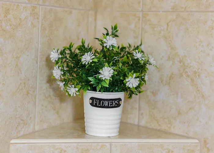 Tatil Evi трапезица